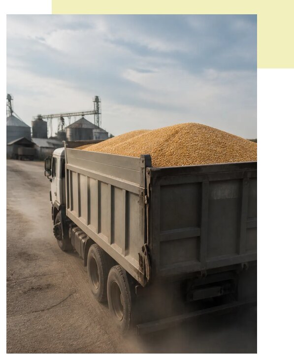 Перевозка сельхозпродукции навалом в Костомукшу по цене от 3061 р. | Агросервис-Ктм